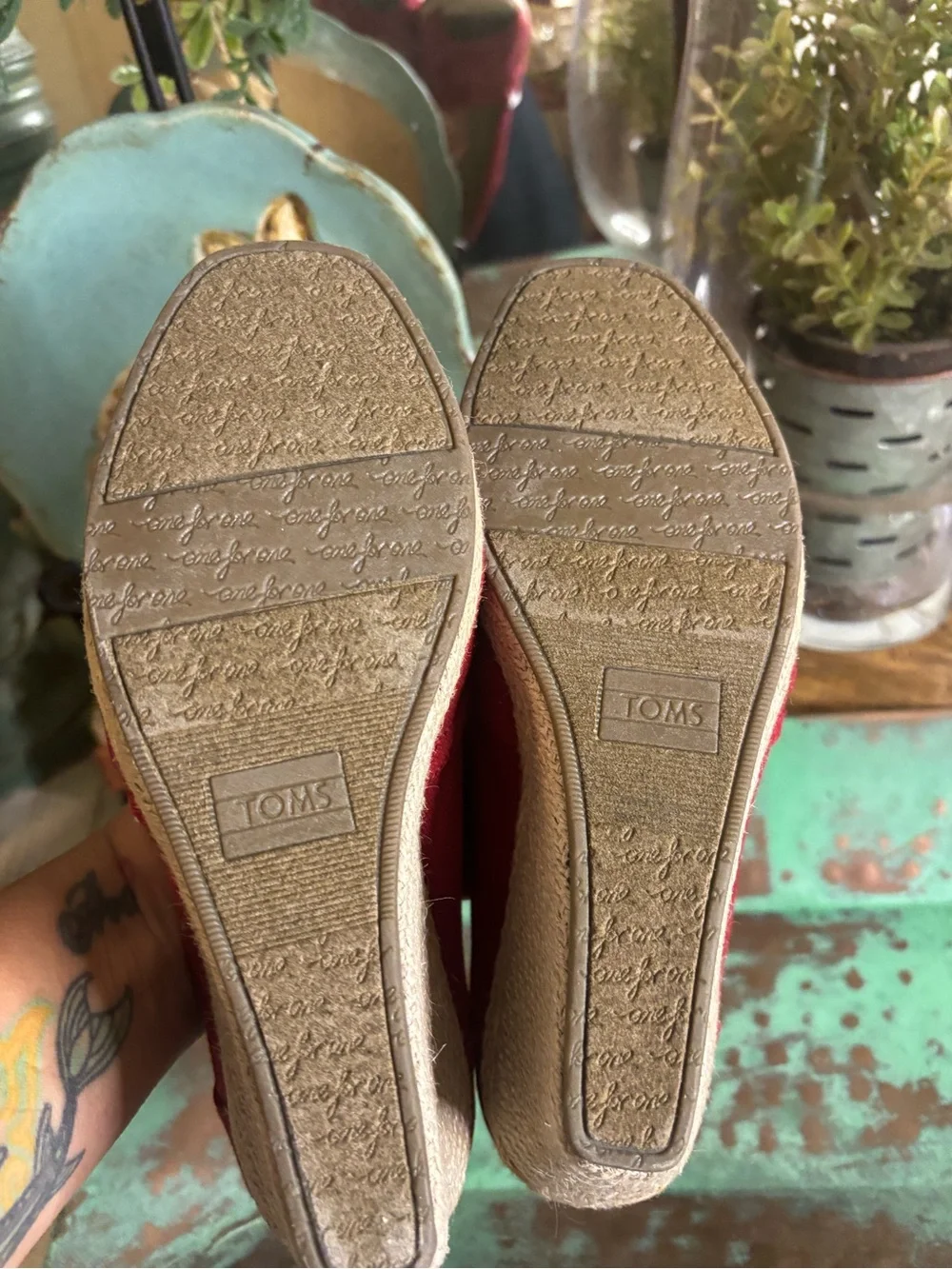 Toms red canvas